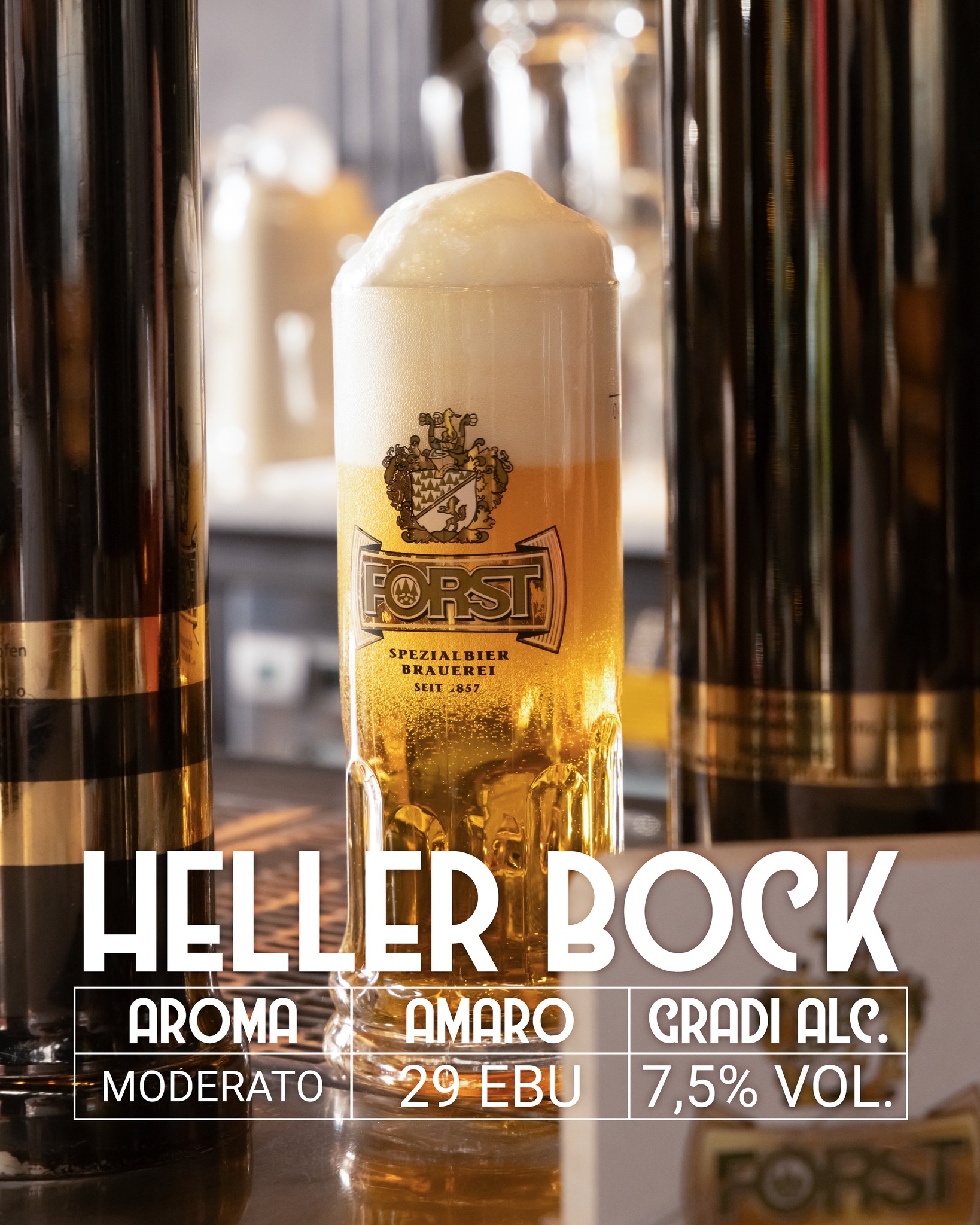 499069739 1357942499304050 6748742982891631112 N