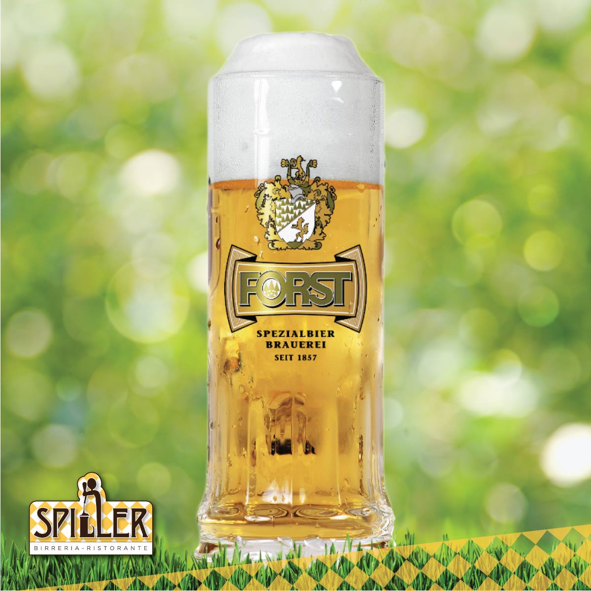 55495981 1560037600797593 3222267495490519040 N