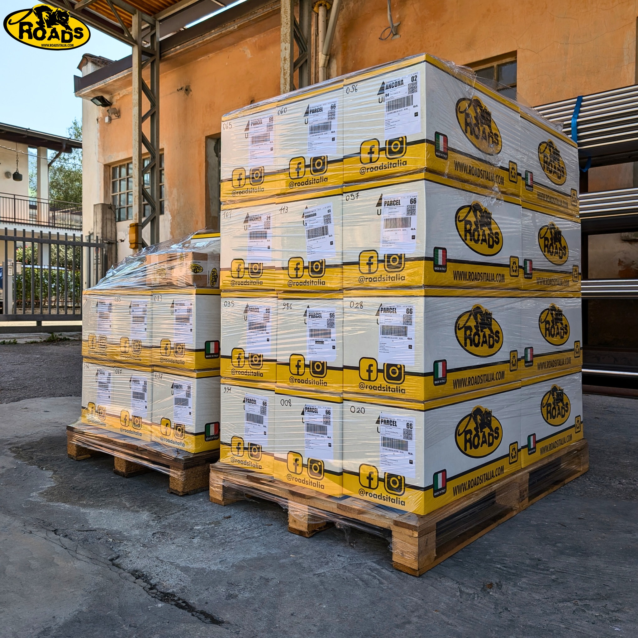 483955538 973689238230392 3930699018573664258 N