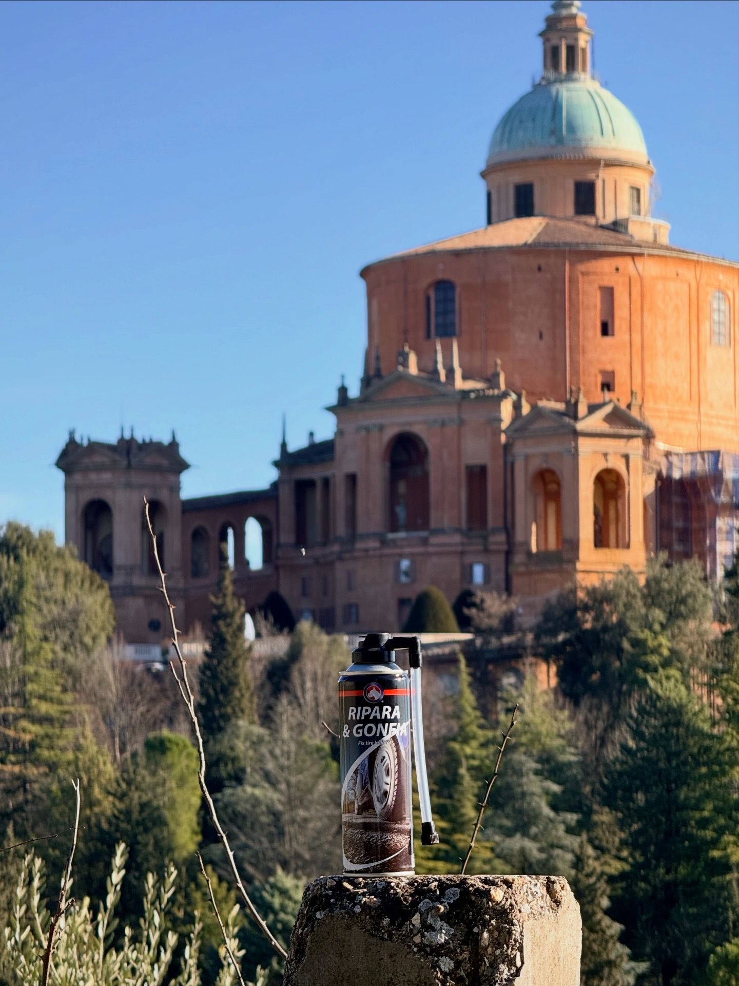 WhatsApp Image 2026 02 18 At Asd