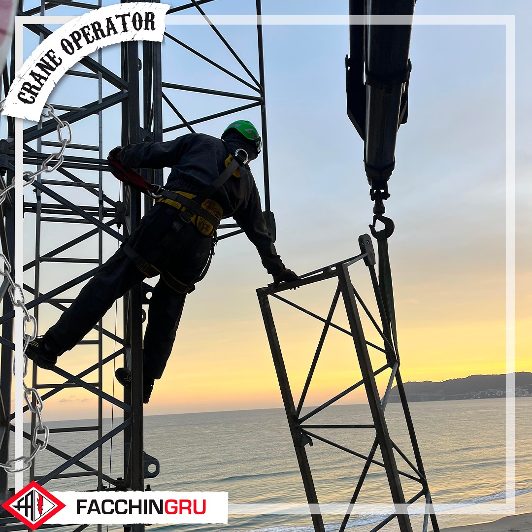 469282172 18031422260386421 3789778206907425096 N