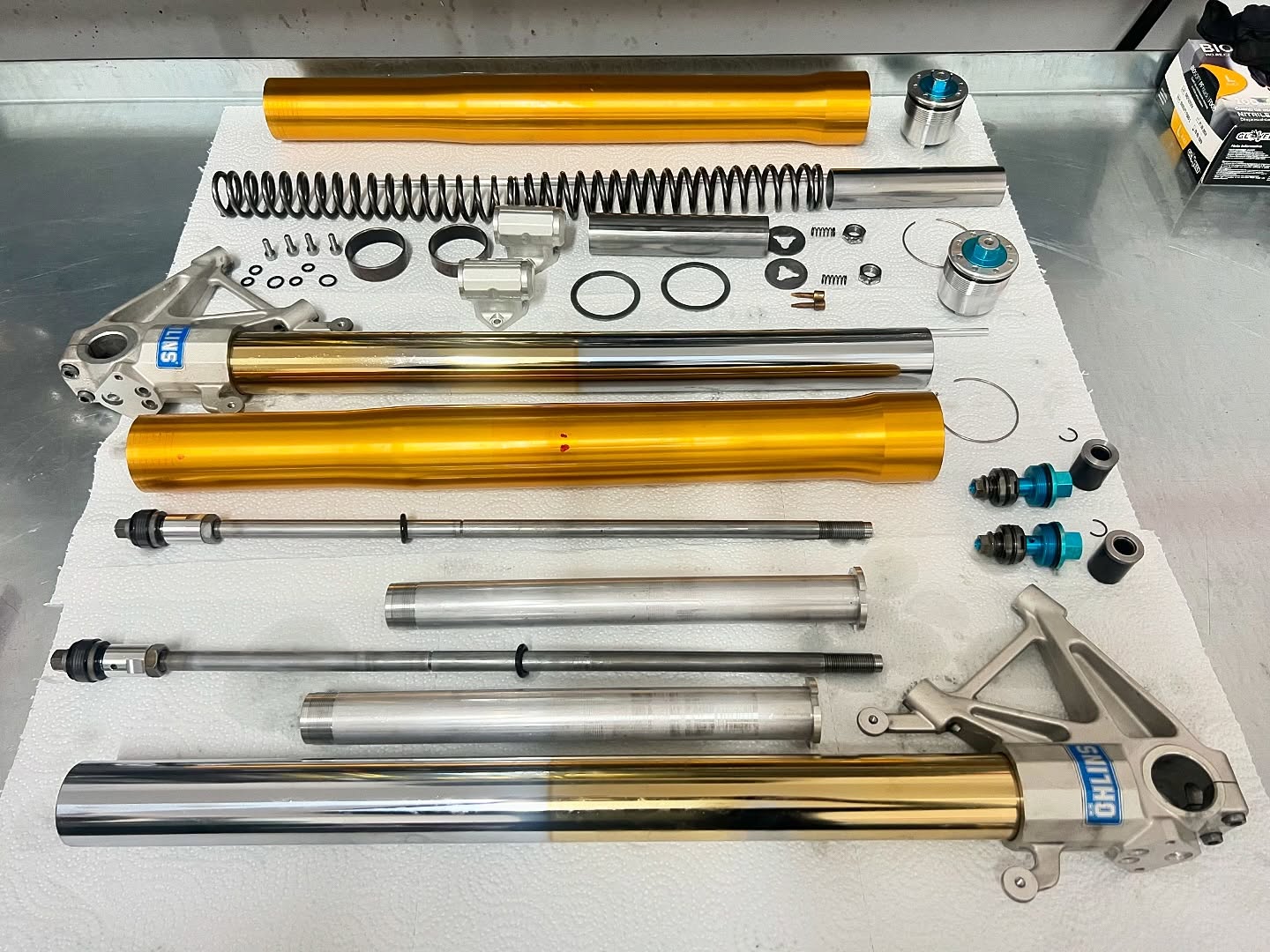 484245221 17996306384770858 8142887201140729333 N