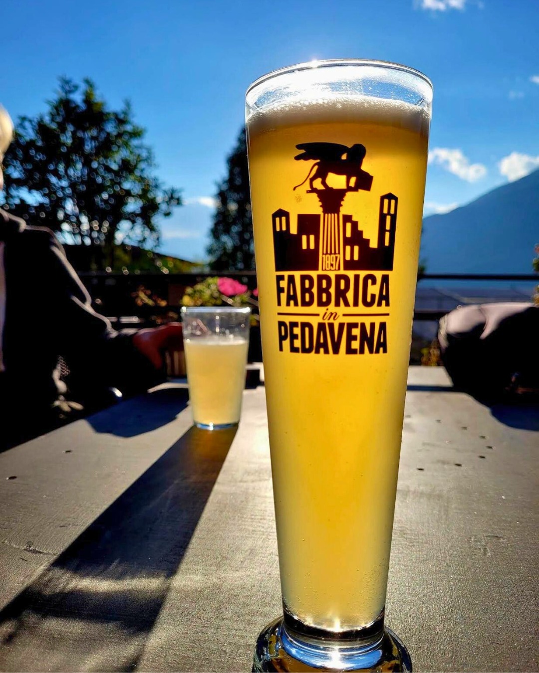 548423142 1418953313025851 7258424211233126053 N