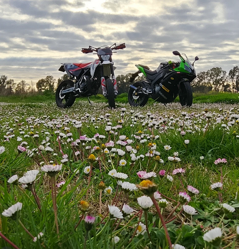 Immagine 2026 03 16 211523