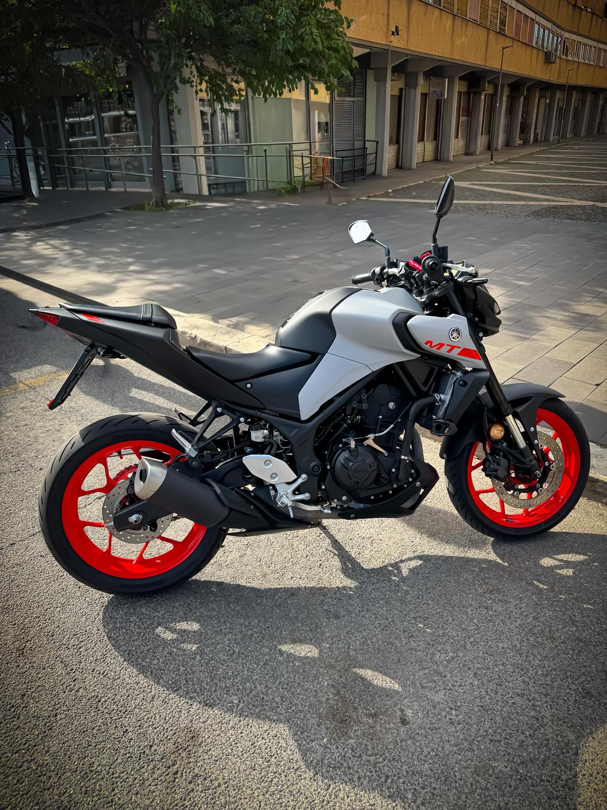 WhatsApp Image 2026 03 04 At 10.03.59