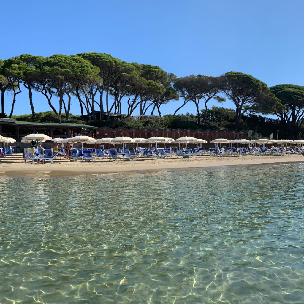 480218646 9235102379912211 734266317718210048 N