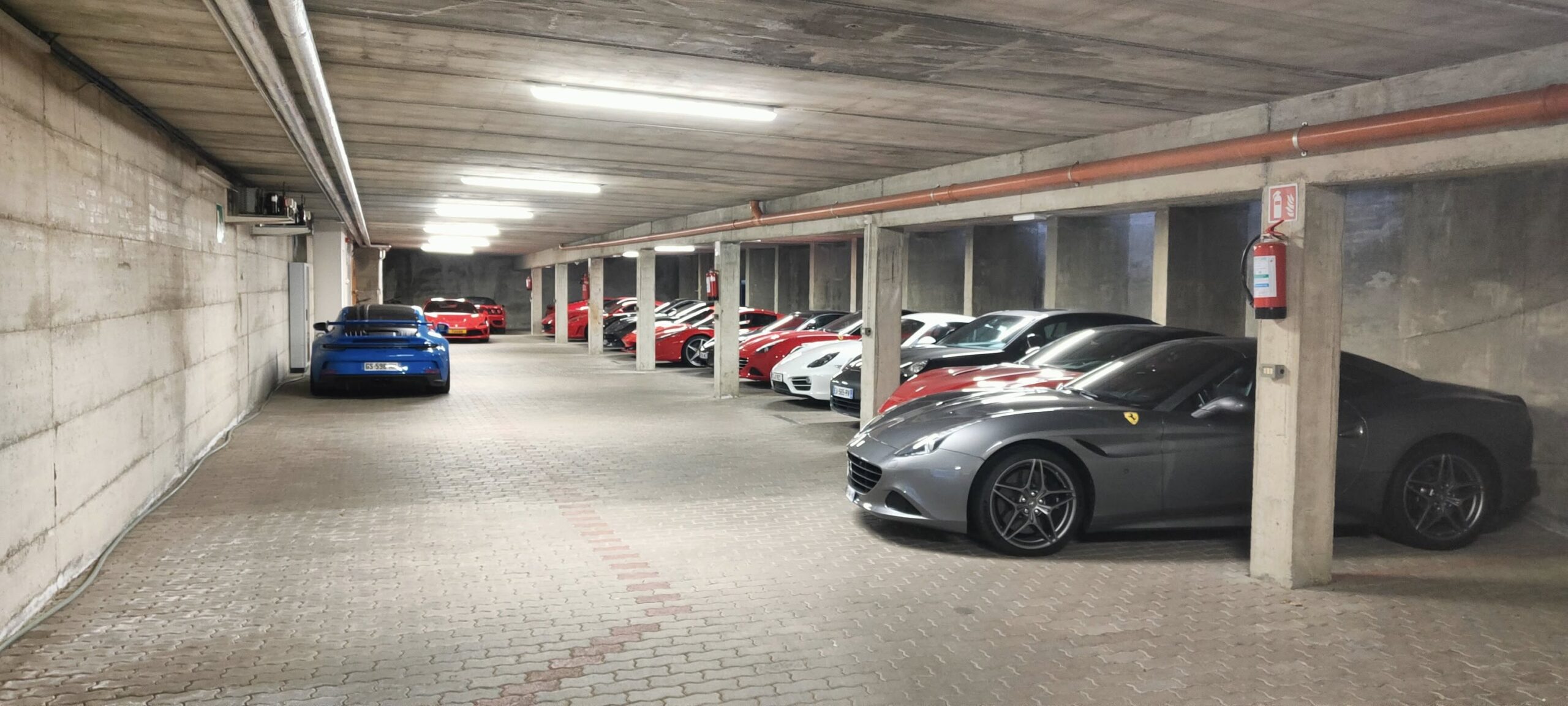 558861672 770659749174096 5051520628383465946 N