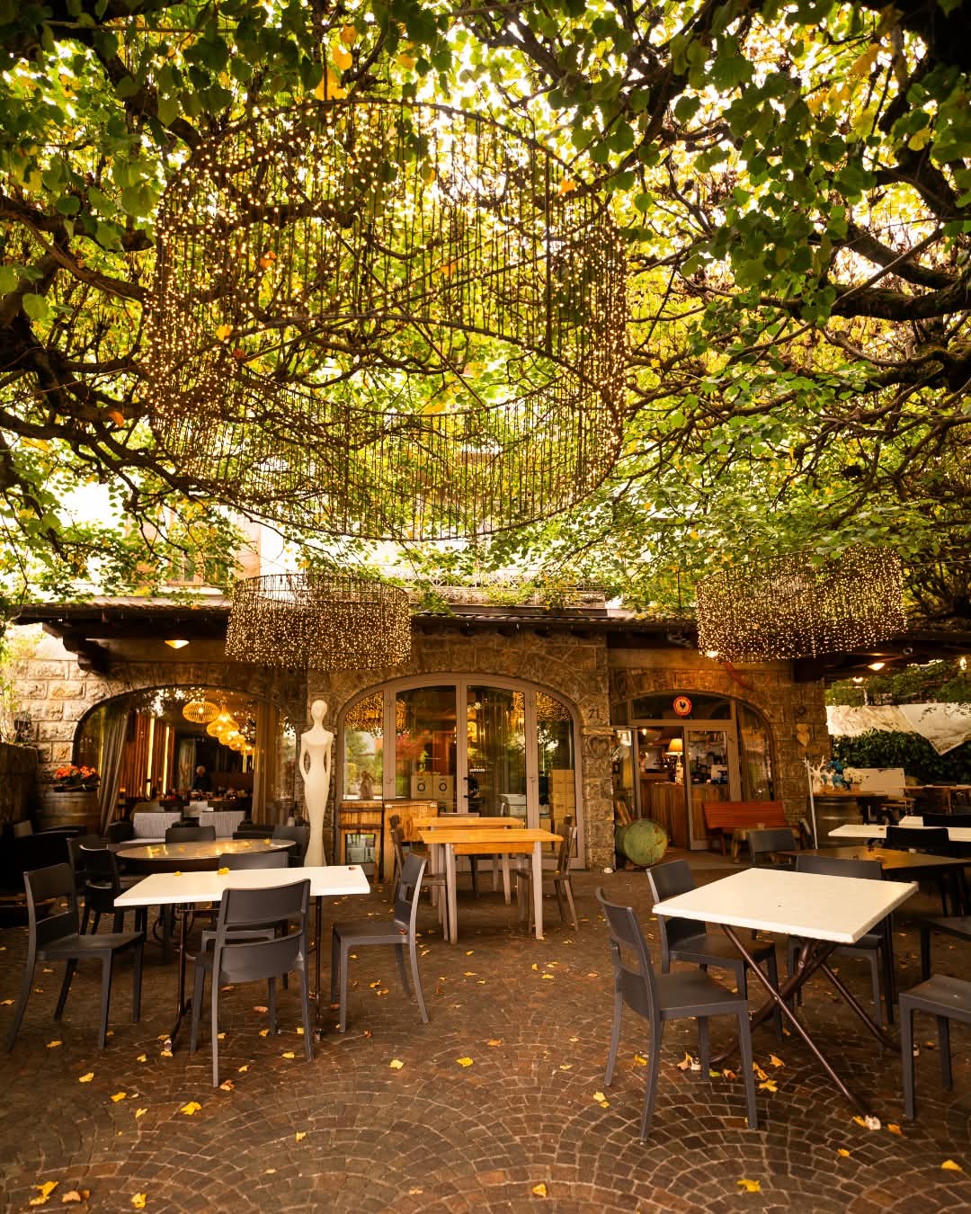 WhatsApp Image 2026 04 17 At 11.09.06