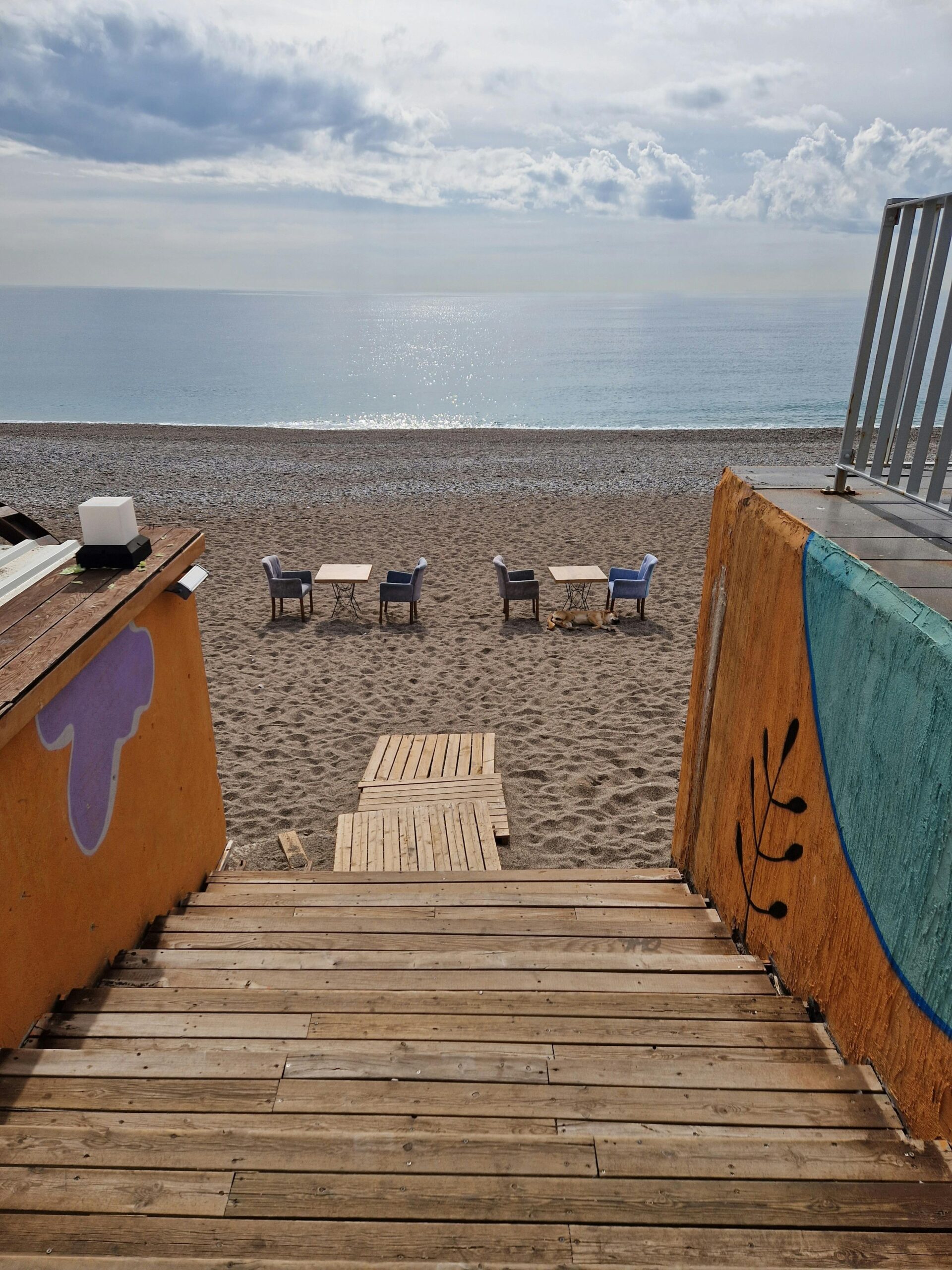 Pexels Alina 1008702 15867518