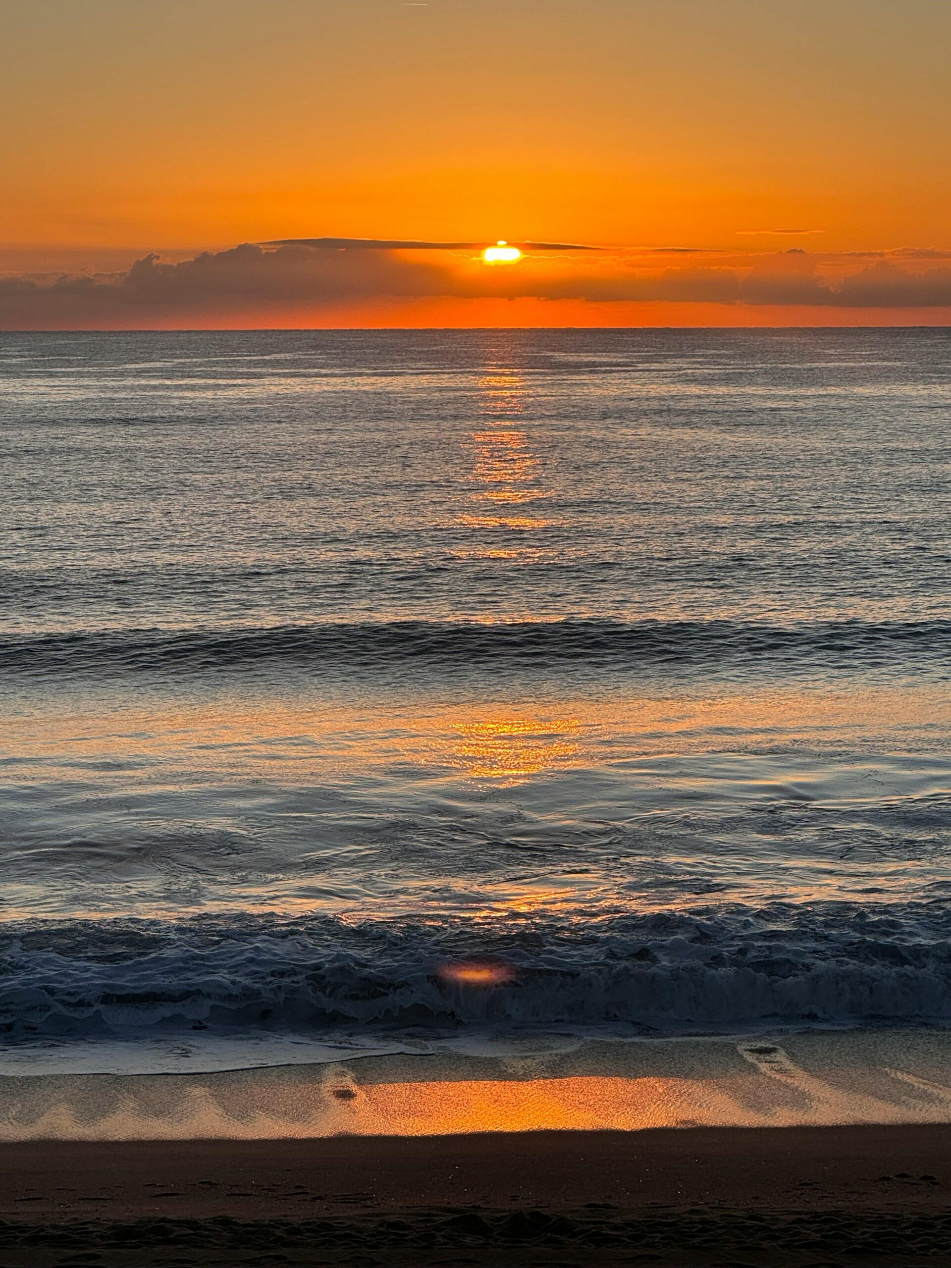 Pexels Bobo Ro 2151421130 31832391