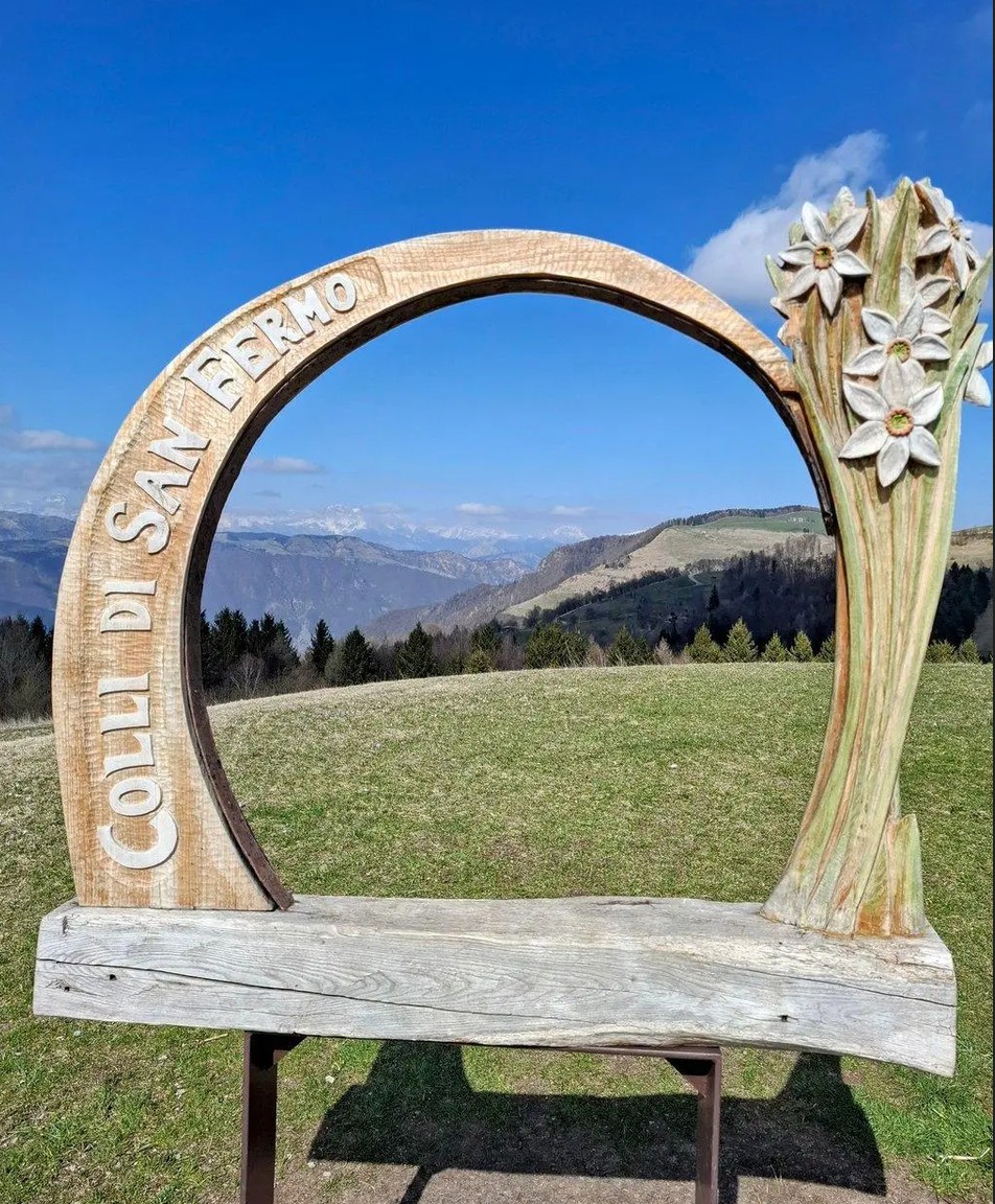 Immagine 2026 07 16 121049