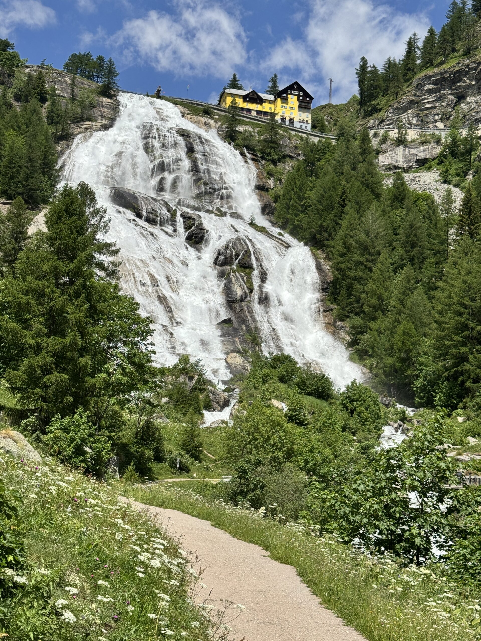 IMG 0598 1920x2560