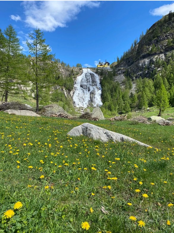 Immagine 2026 08 28 111832